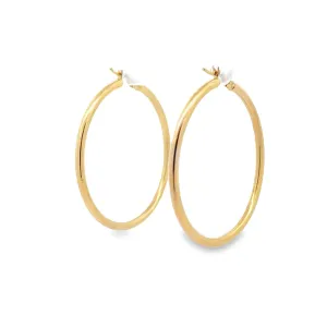 Baikalla Hallow 14k Gold Dangle Hoop Earrings