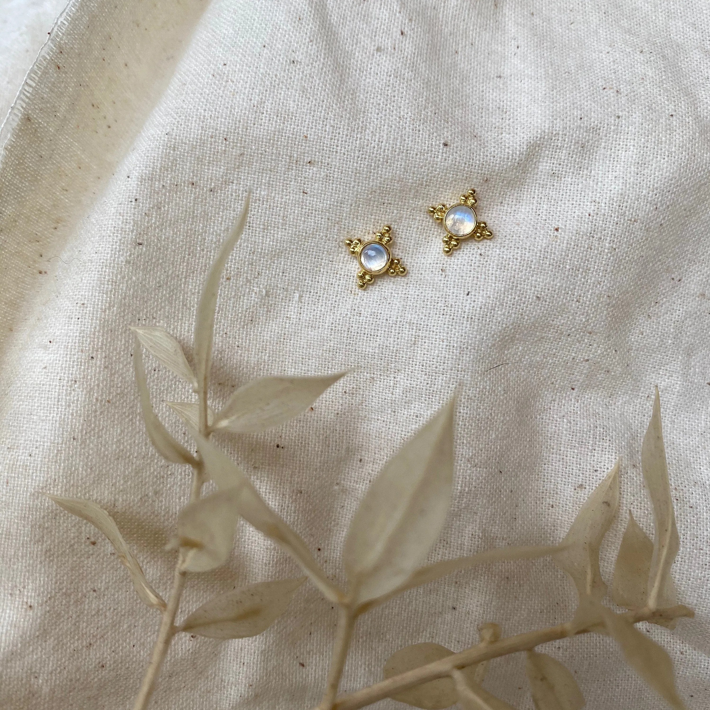 Ivy 14K Gold Rainbow Moonstone Stud Earrings