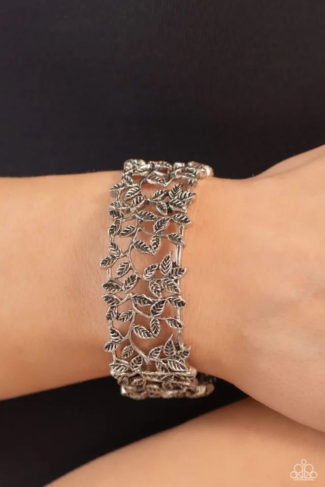 Paparazzi Bracelet ~ Whose VINE Is It Anyway? - Silver