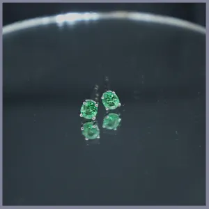 RSJ288 Tsavorite Earrings